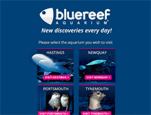 Tablet Screenshot of bluereefaquarium.com